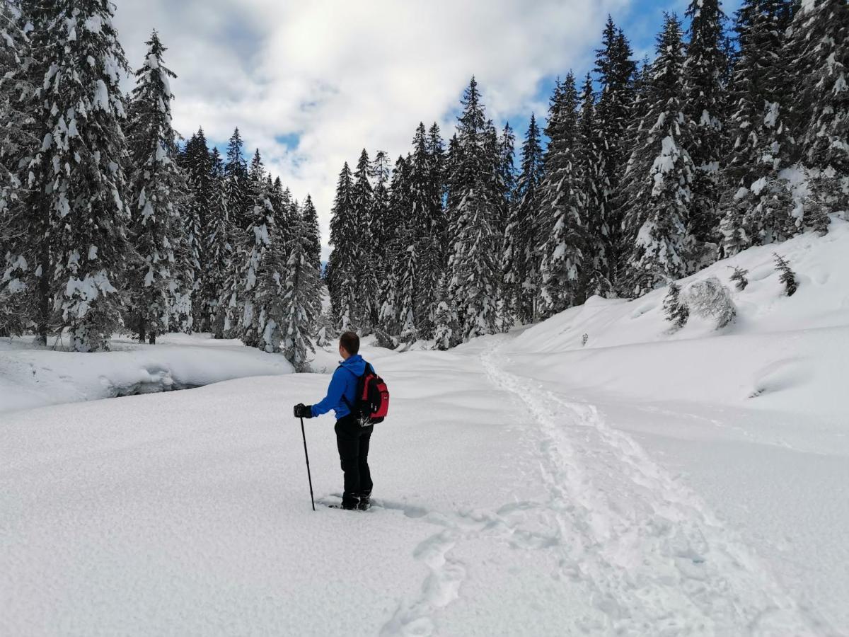 Hotel Garni Sottobosco Dimaro Exteriér fotografie